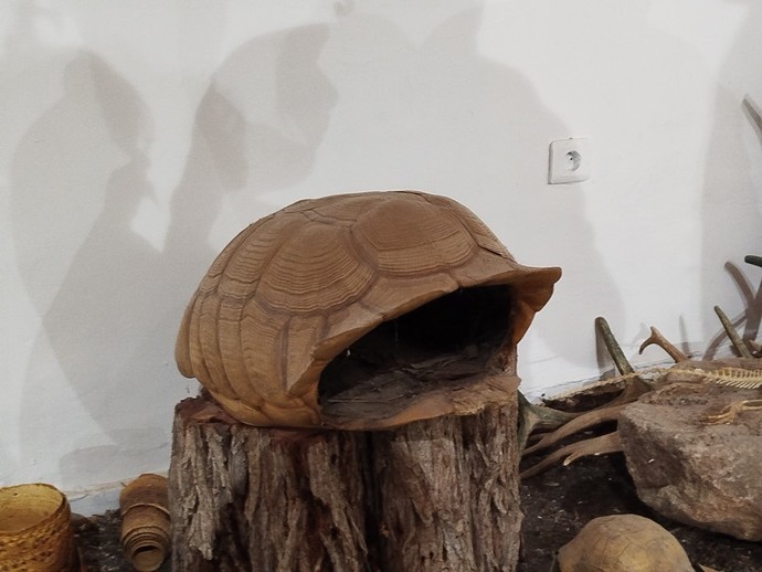 Günümüz şartlarında bekar evi olur mu?