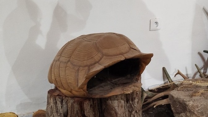 Günümüz şartlarında bekar evi olur mu?