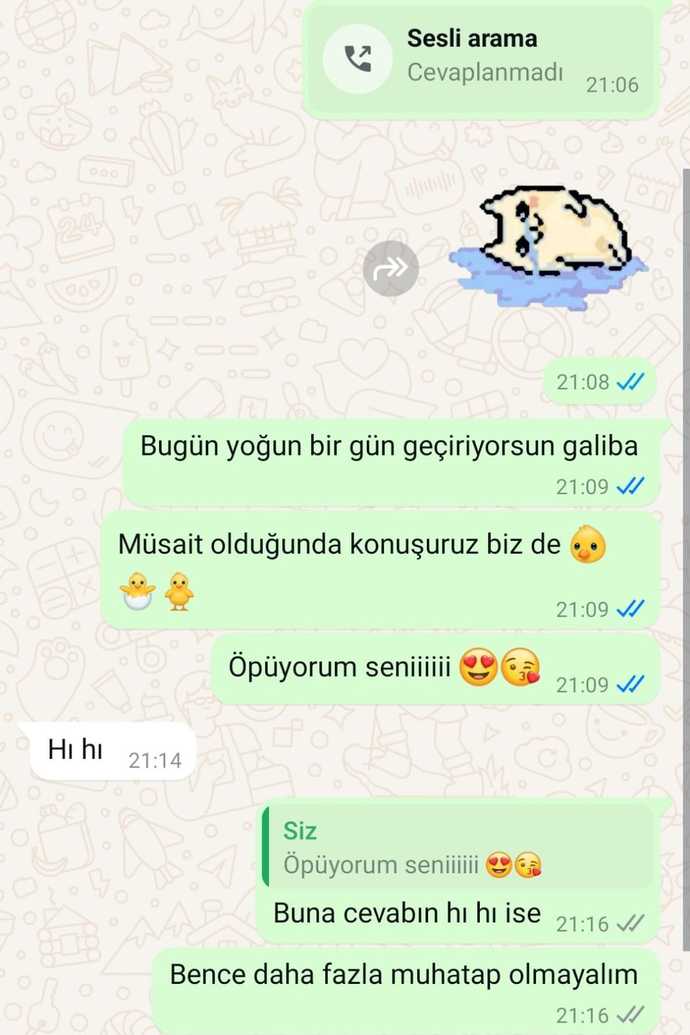 Sizce bu işi bitirmem gerekir mi?