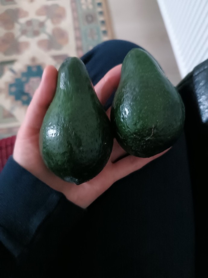 Avakadolarimi gordunuz mu minnak?
