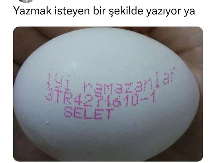 Yazmak isteyen bir şekilde yazar mı?