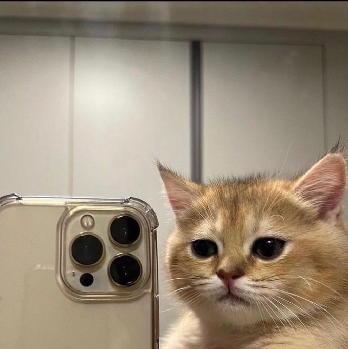 Selfie’lerin güzel çıkması açıdan mı yoksa kişisel güzellikten mi gelir?