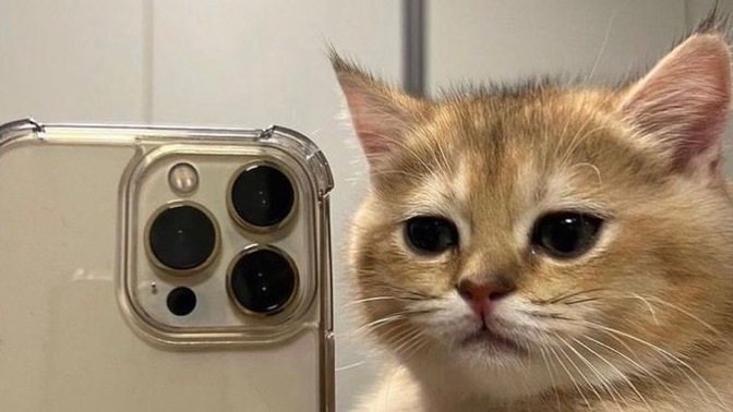 Selfie’lerin güzel çıkması açıdan mı yoksa kişisel güzellikten mi gelir?