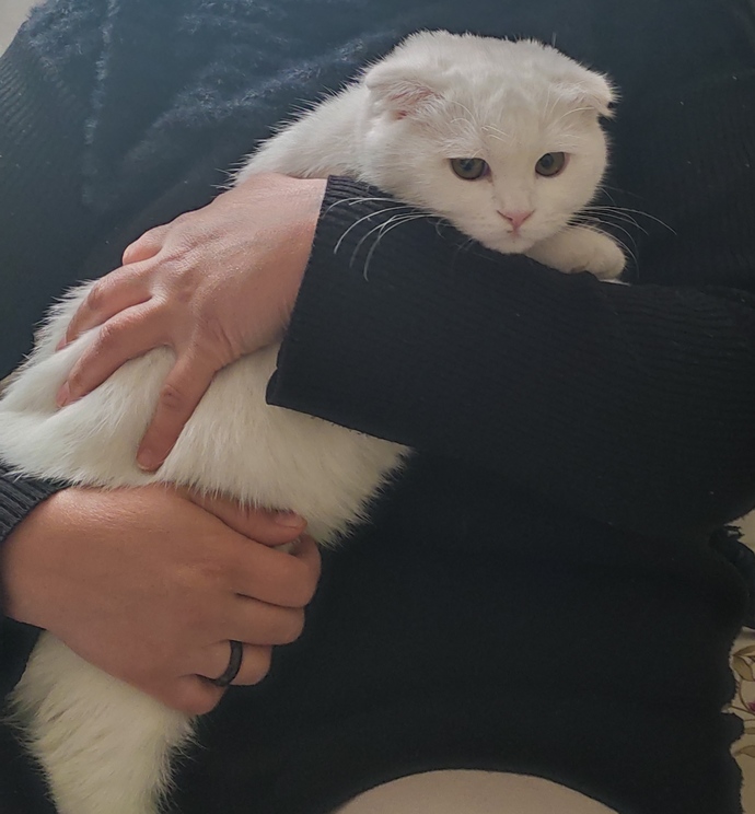 Paşa beyle nasılız?😂 Şu minnoşun tatlılığına bakar mısınız🥰?