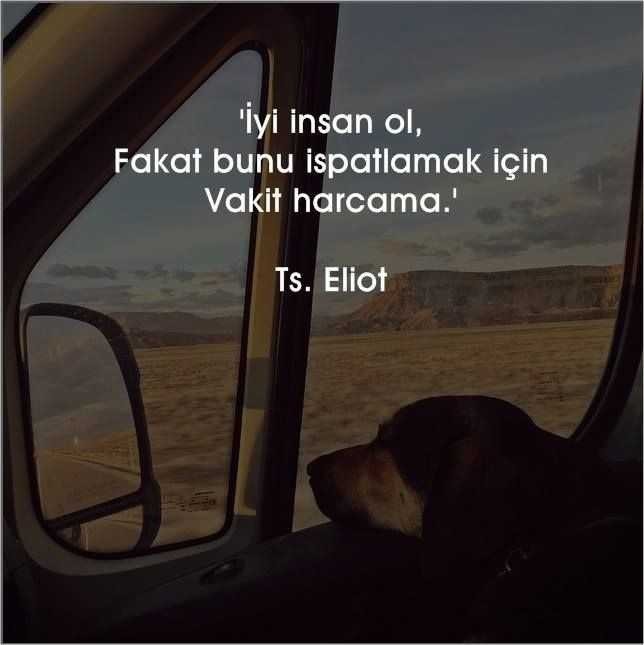 Birine ispatlamayı çalışır mısın?