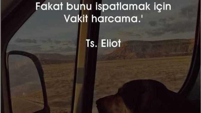 Birine ispatlamayı çalışır mısın?