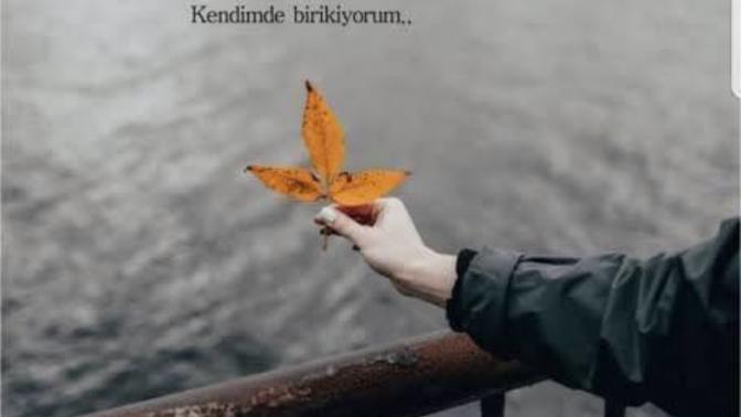 Hiç ziyan olduğunuzu düşündünüz mü?