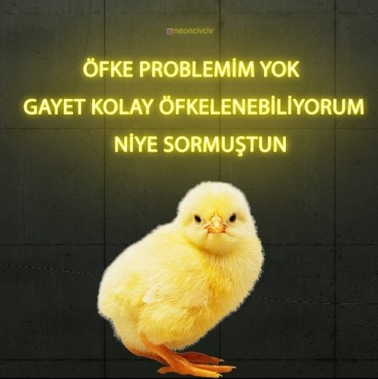 Öfke probleminiz var mıdır?