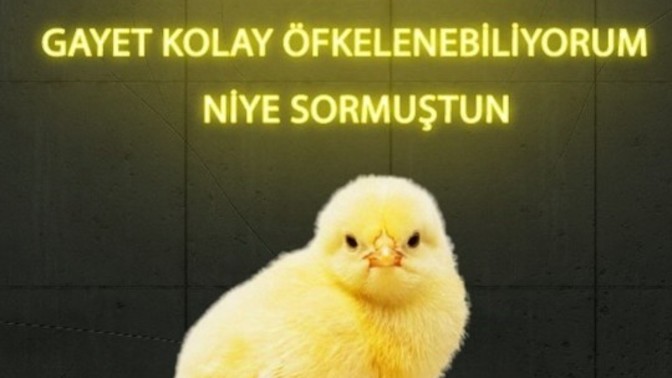 Öfke probleminiz var mıdır?
