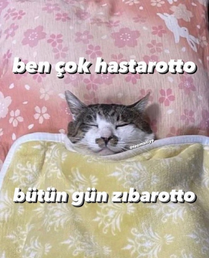 Hasta mısıniz grip oldunuz mu, bana yine bişiler oluyyoh🥴?