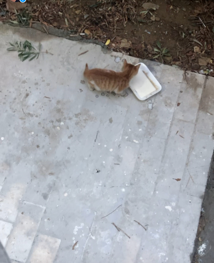 İşleriniz ters gidince sadaka verir misiniz?