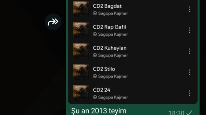 Hangi yıla dönmek istersiniz?
