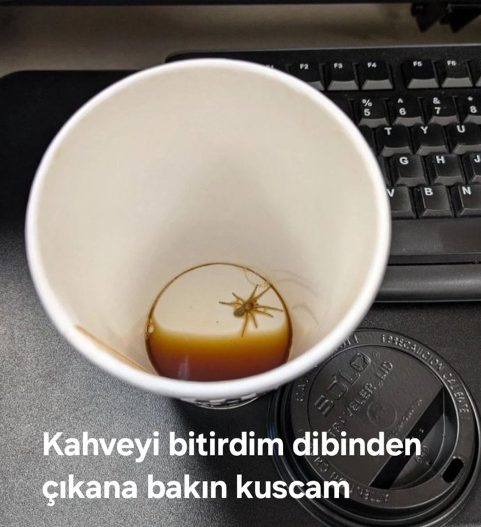 Kahvenizin son yudumundan sonra böyle bir şeyle karşılaşırsanız ne yaparsınız?