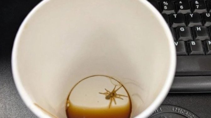Kahvenizin son yudumundan sonra böyle bir şeyle karşılaşırsanız ne yaparsınız?