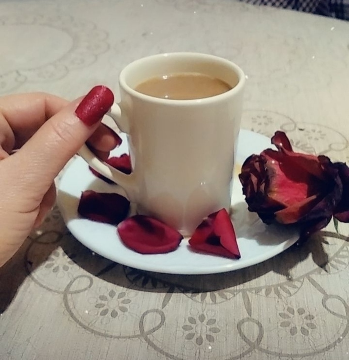 Atın nalı çıkar kalır toynağı , adama nal toplattırır kadının oynağı deyiminde anlatılmak istenen tema nedir?