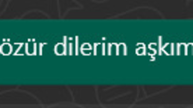 Bütün kızlar darlamaya mı programlı yaa cidden?