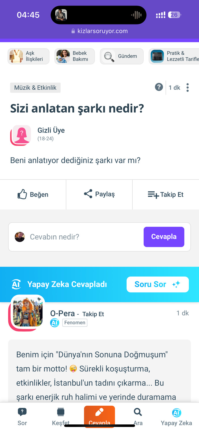 Sizi anlatan şarkı nedir?