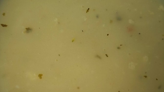 En sevdiğin çorba hangisi😋?