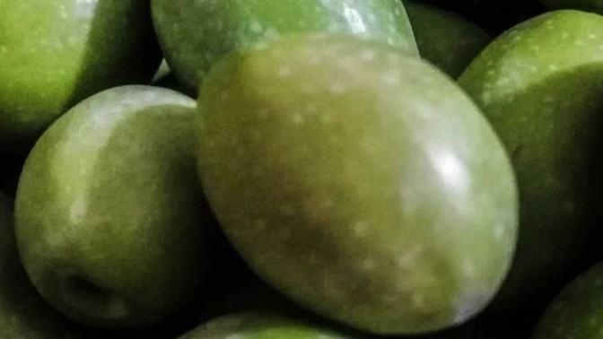 Zeytin sever misiniz?
