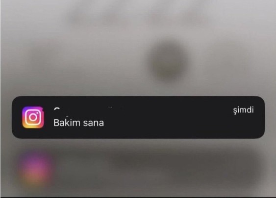 Kızlar şu mesajı atan erkeğin zeka seviyesi nedir?