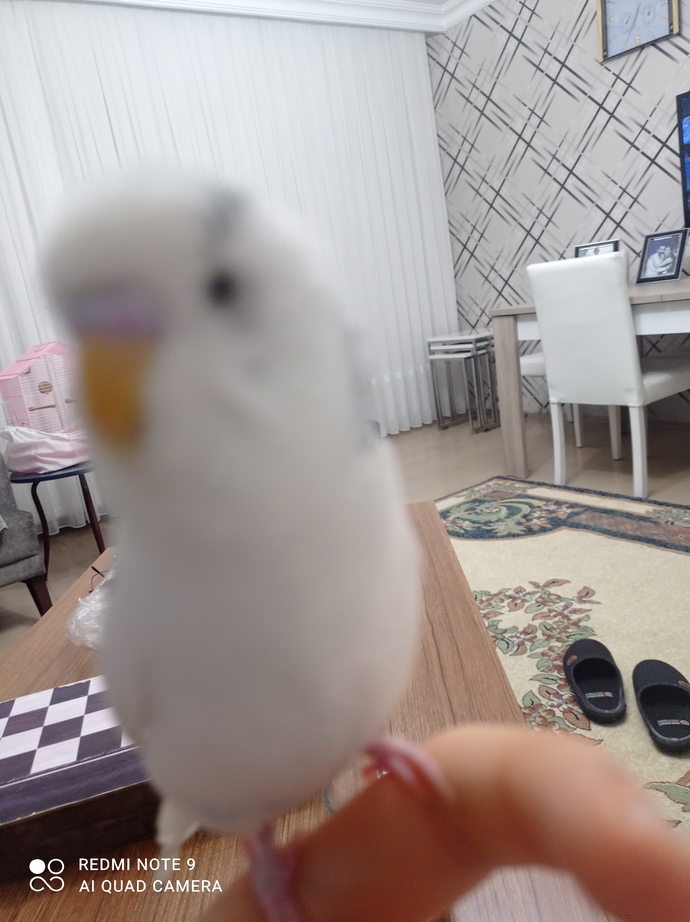 En son kimin fotoğrafını çektiniz?