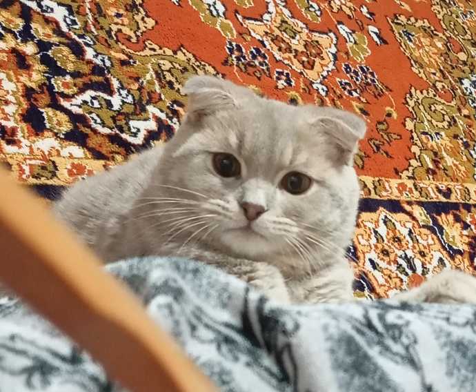 En son kimin fotoğrafını çektiniz?