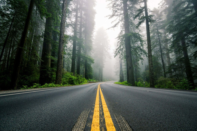 En son kime yol verdiniz?