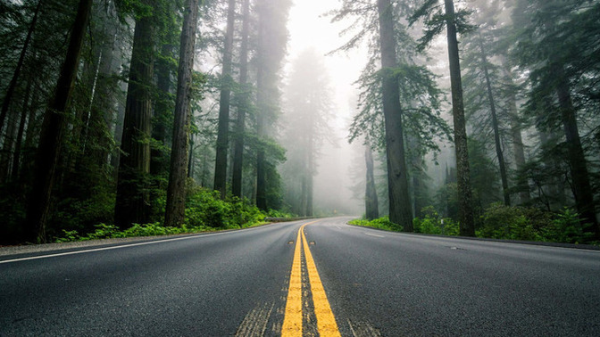 En son kime yol verdiniz?