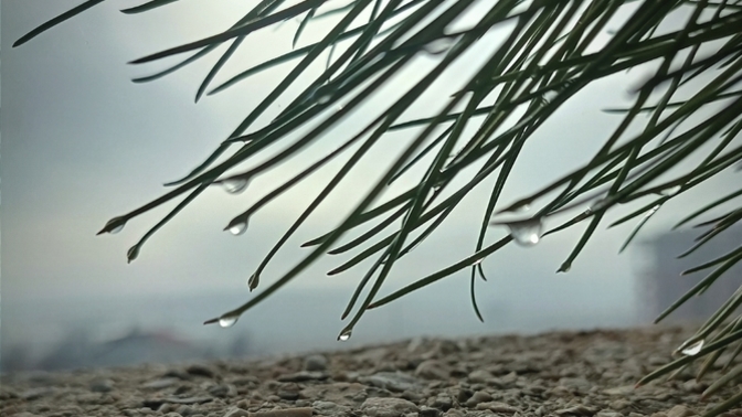 Redmi not 11 pro dan cektigim fotograflar nasil?