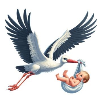 Ailen hiç sana leyleklerin çocuk masalını anlattığı oldu mu?