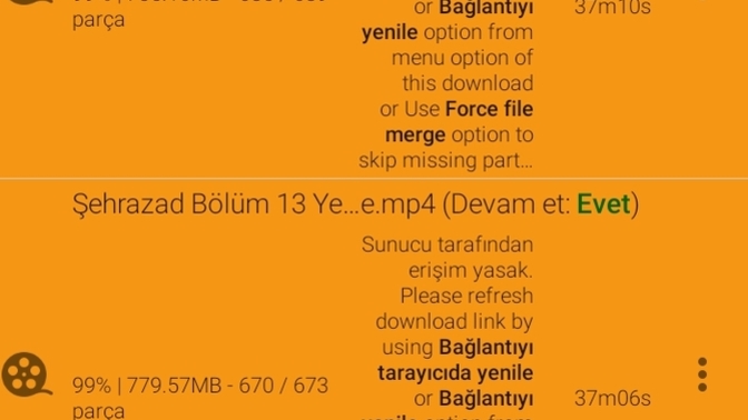 1DM kullanan var mı yardımcı olabilir mi?