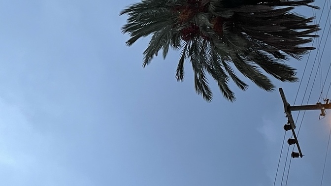Böyle havalar sizi de sıkıyor mu?