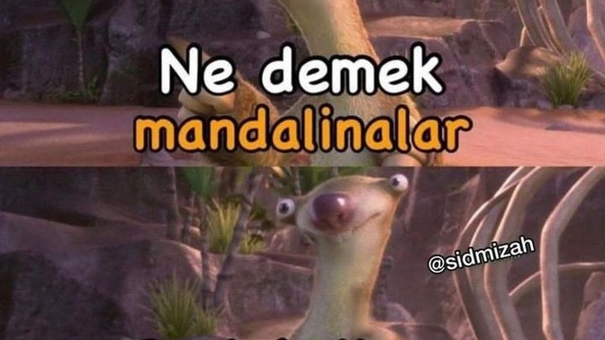 Ailenizden en çok hangisine benziyorsunuz? ?