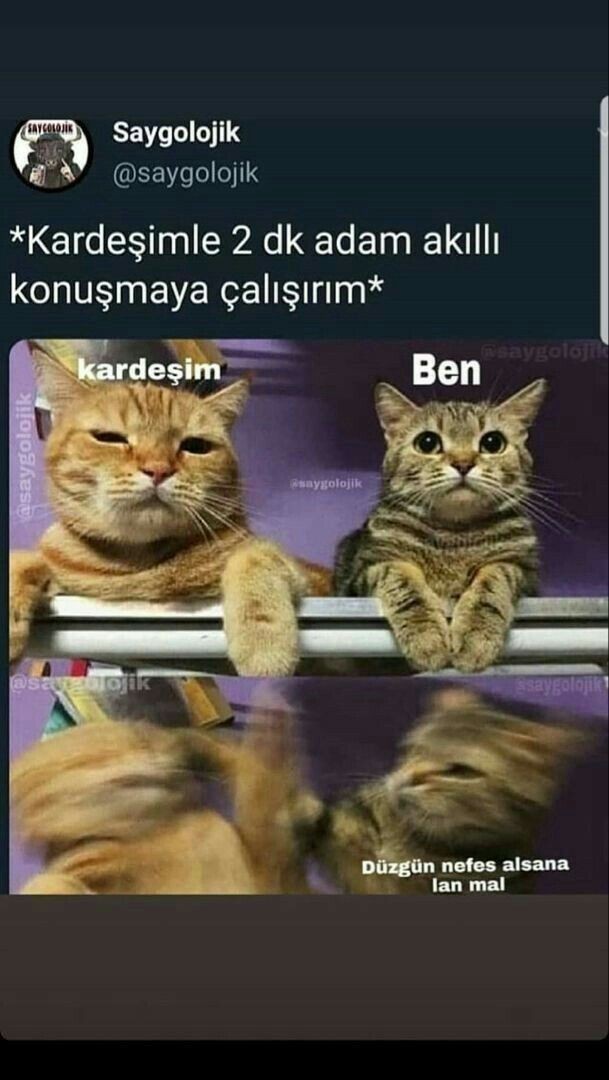 Kardeşinizle, abla/abinizle kavga etme sebepleriniz ne oluyor?