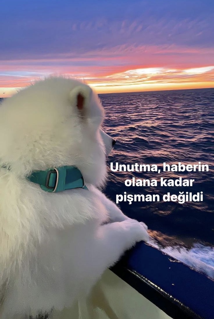 Size yanlış yapıp, pişman olan birisini affeder miydiniz?