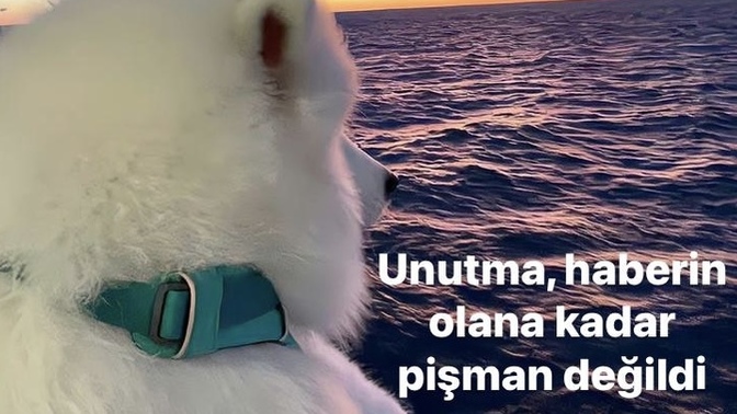 Size yanlış yapıp, pişman olan birisini affeder miydiniz?