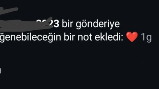 Instagram biri bunu paylaştı ne demek?