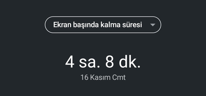 Ekran süreniz ne kadar?