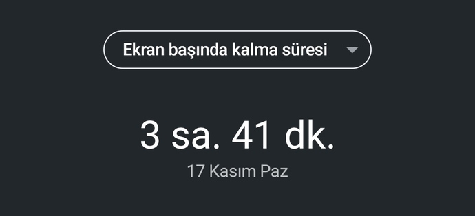 Ekran süreniz ne kadar?