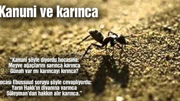 Meyve ağaçlarını sarınca karınca , günah var mı karıncayı kırınca? bu soru size sorulmuş olsaydı sizin cevabı nasıl olurdu?