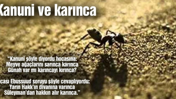 Meyve ağaçlarını sarınca karınca , günah var mı karıncayı kırınca? bu soru size sorulmuş olsaydı sizin cevabı nasıl olurdu?