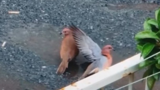Bundan öte aşk var mıdır?