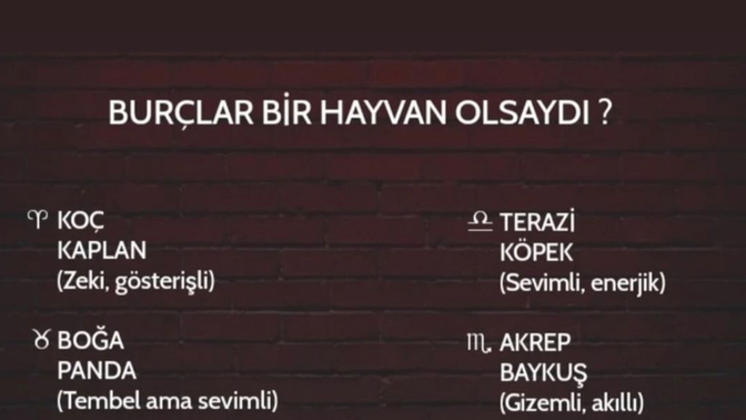 Burçlar bir hayvan olsaydı ne olurdu?