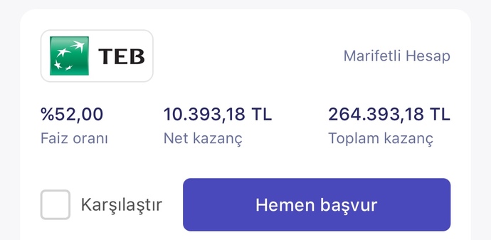 Altındaki 250 bin paramı aylık faize atsam aylık 10 bin veriyor Mantıklımı?