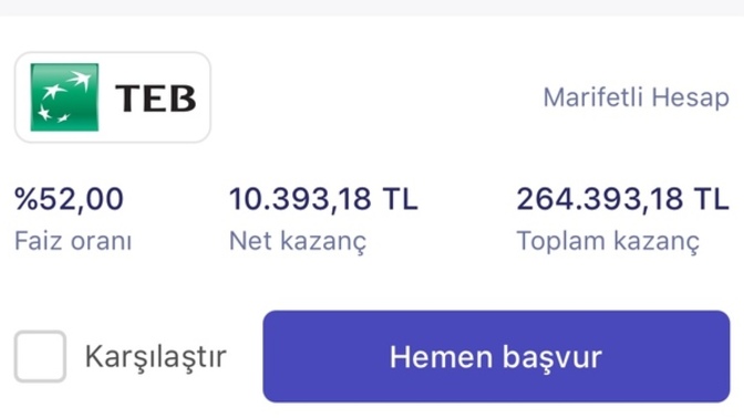 Altındaki 250 bin paramı aylık faize atsam aylık 10 bin veriyor Mantıklımı?