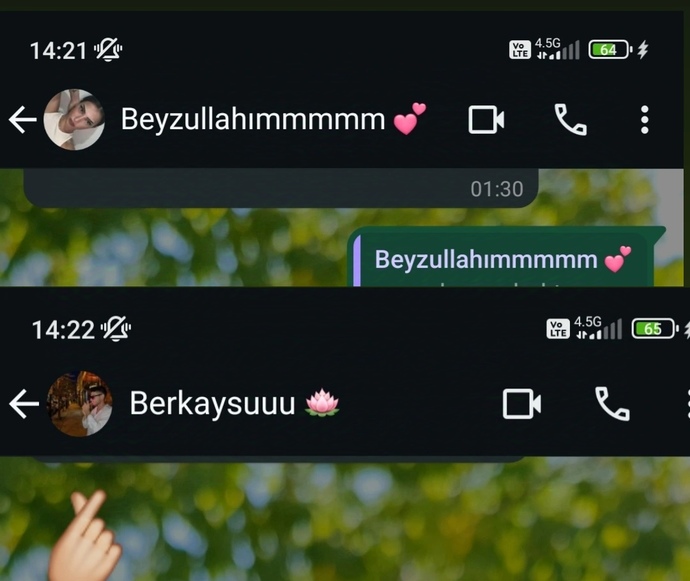 Erkekler birbirine 'aşkım, canım, bebeğim' gibi şeyler neden demiyor?