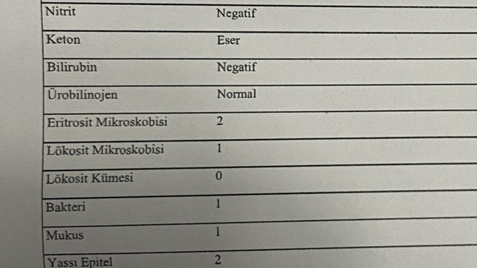 İdrar tahlilinden anlayan var mı?
