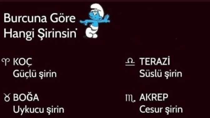 Burcuna göre hangi şirinsin?