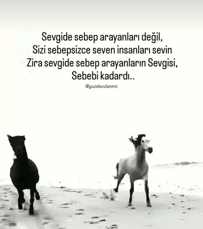 Sevgide sebep ararmısınız?