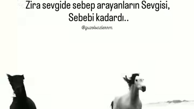 Sevgide sebep ararmısınız?